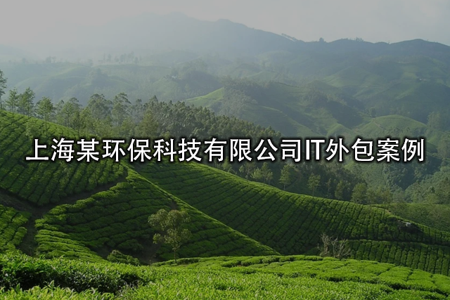上海某環(huán)保科技有限公司IT外包案例